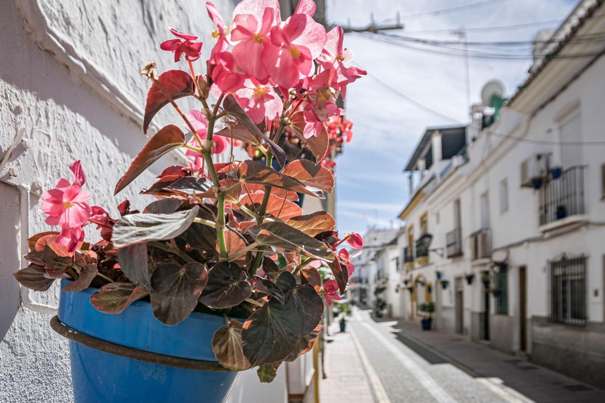 Seaclub Suites Estepona Exteriér fotografie